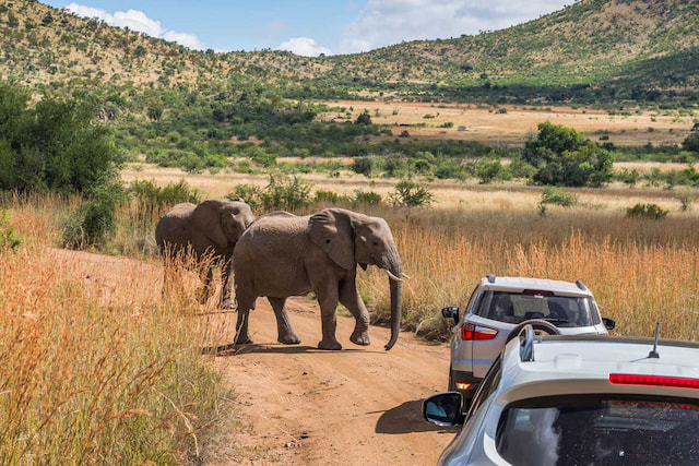 Affordable South Africa Tour Packages For Indian Travellers