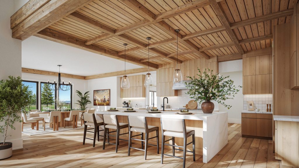 3D renderings