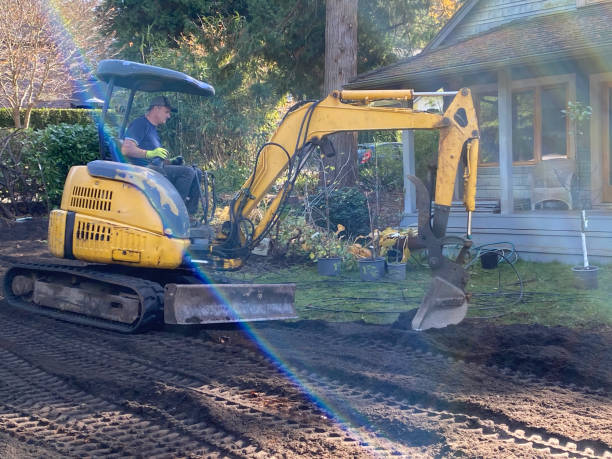 land clearing companies near me